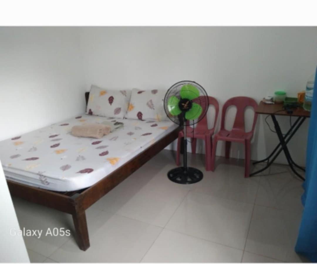 Francis Home Stay Port Barton Bonifacio Street San Vicente  Exteriör bild